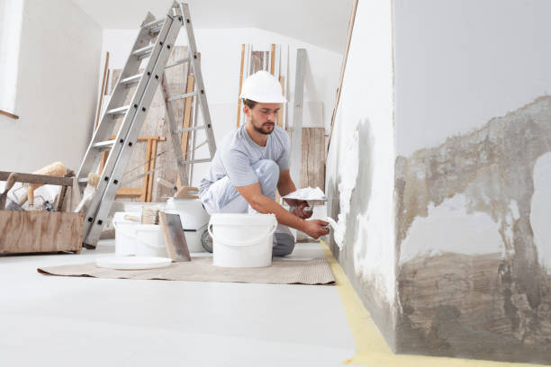 Best Trim and Molding Painting  in St James City, FL