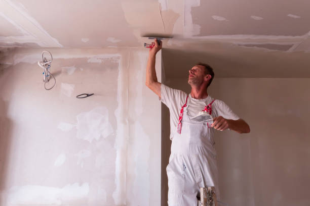 Best Drywall Installation  in St James City, FL